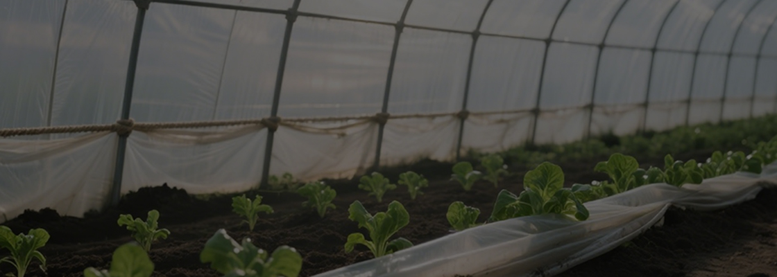 Bahan kimia penggunaan harian